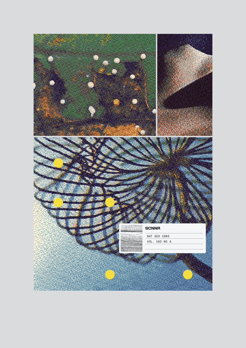 scanner_daily's tweet photo. Field study https://t.co/xWEZtfrw2s