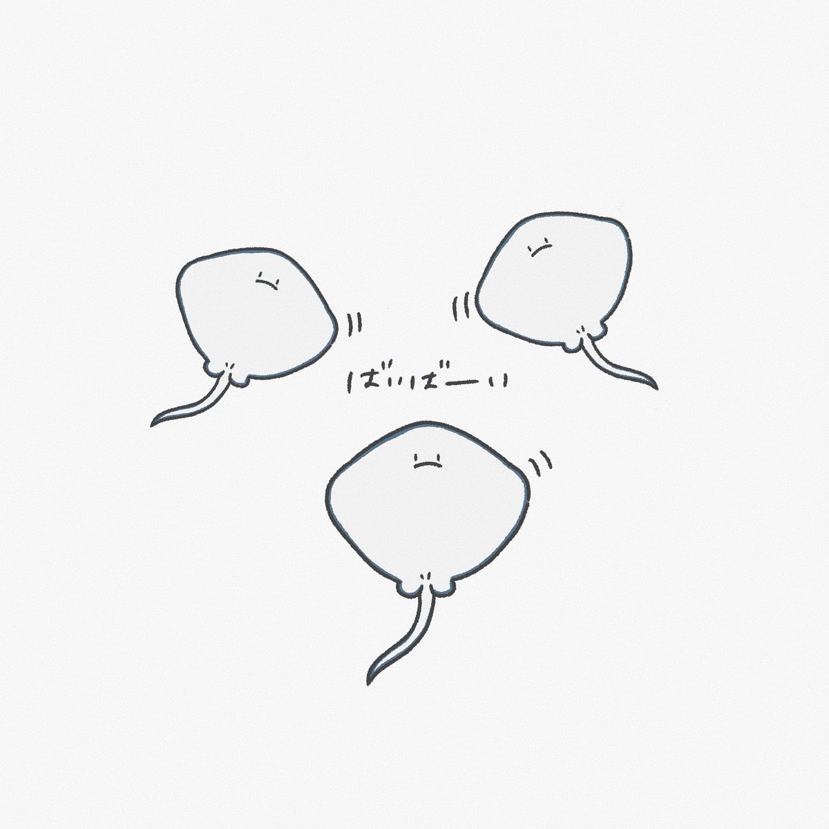 i__25g's tweet photo. ポイポイされてくエイ、何回も観てしまう https://t.co/RJAeFkLPKx