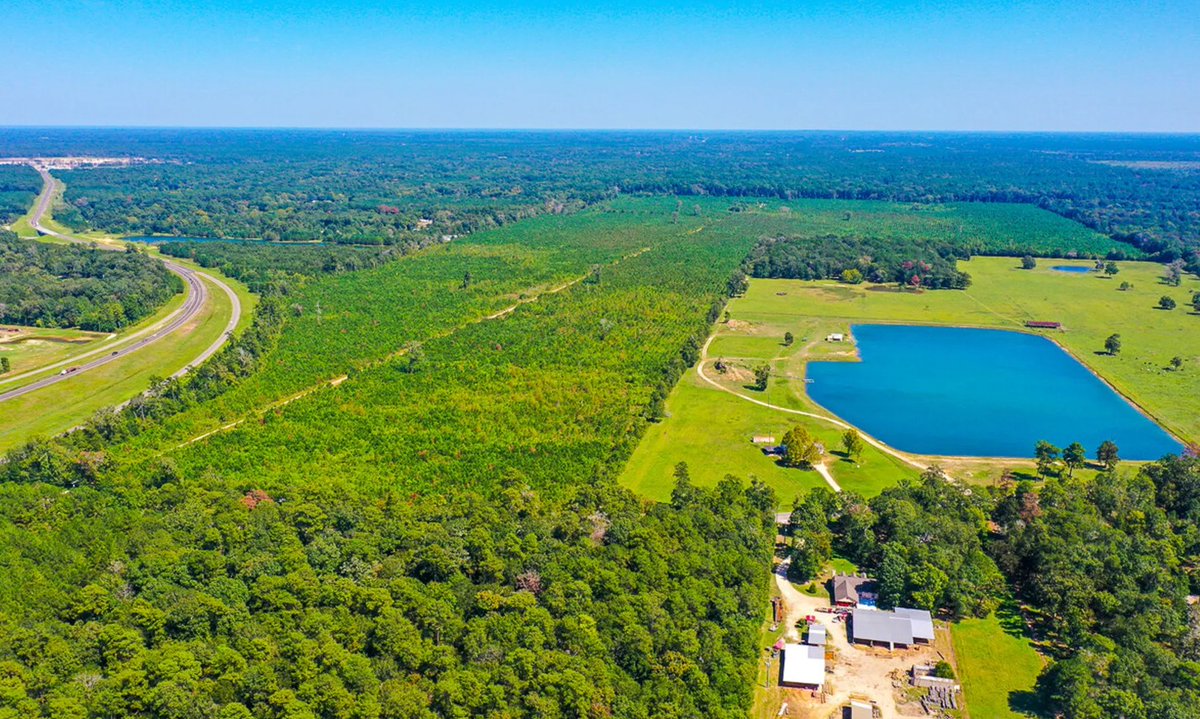landreport's tweet photo. 323 acres | FM1010 | Liberty, Texas | $8,398,000
1st time open market offering! Development transition land at South Loop 105 &amp; FM 1010 in Cleveland, TX. High traffic! Hard corner included. One of the faster growing areas in TX near Montgomery County, TX.
https://t.co/CeaMgqtaty https://t.co/CCXp1a81Xo