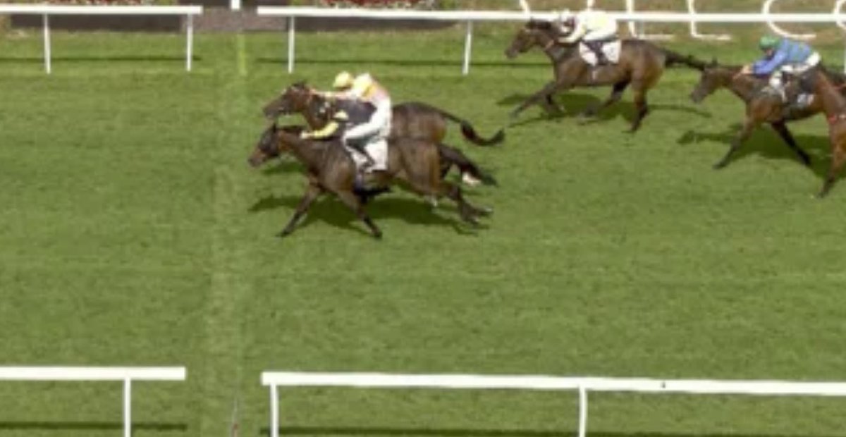 racinglee1's tweet photo. 🥇 5/2 winner DOON THE GLEN @HamiltonParkRC 

Last to first, and gets up where it matters @PMulrennan @JimGoldieRacing @JDeltaRacing 🏇🏻💨

🥇14 winners &amp; 7 NAPS from 13 in July @oddschecker @oddsRacing https://t.co/o6NfjnA5ja