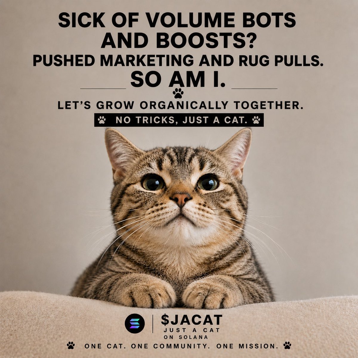 justacatca's tweet photo. Early entry’s on this one. $jacat community decides the fate. https://t.co/cnN7jsVO50