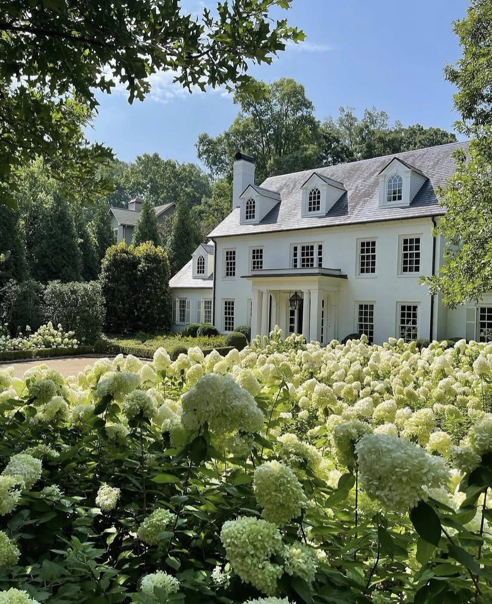 prep_propaganda's tweet photo. It should be a requirement to have hydrangeas in your yard https://t.co/QXWhoB2If8