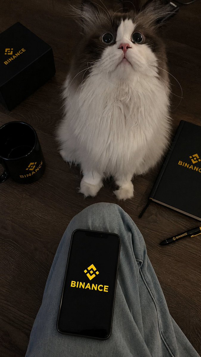 Binance Pakistan 🇵🇰 tweet media