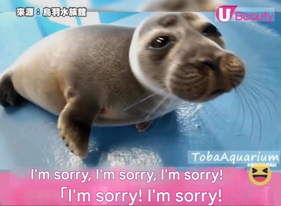 mistapussy's tweet photo. don’t fret, nikolas… it’s okay https://t.co/C4wHjTafvV