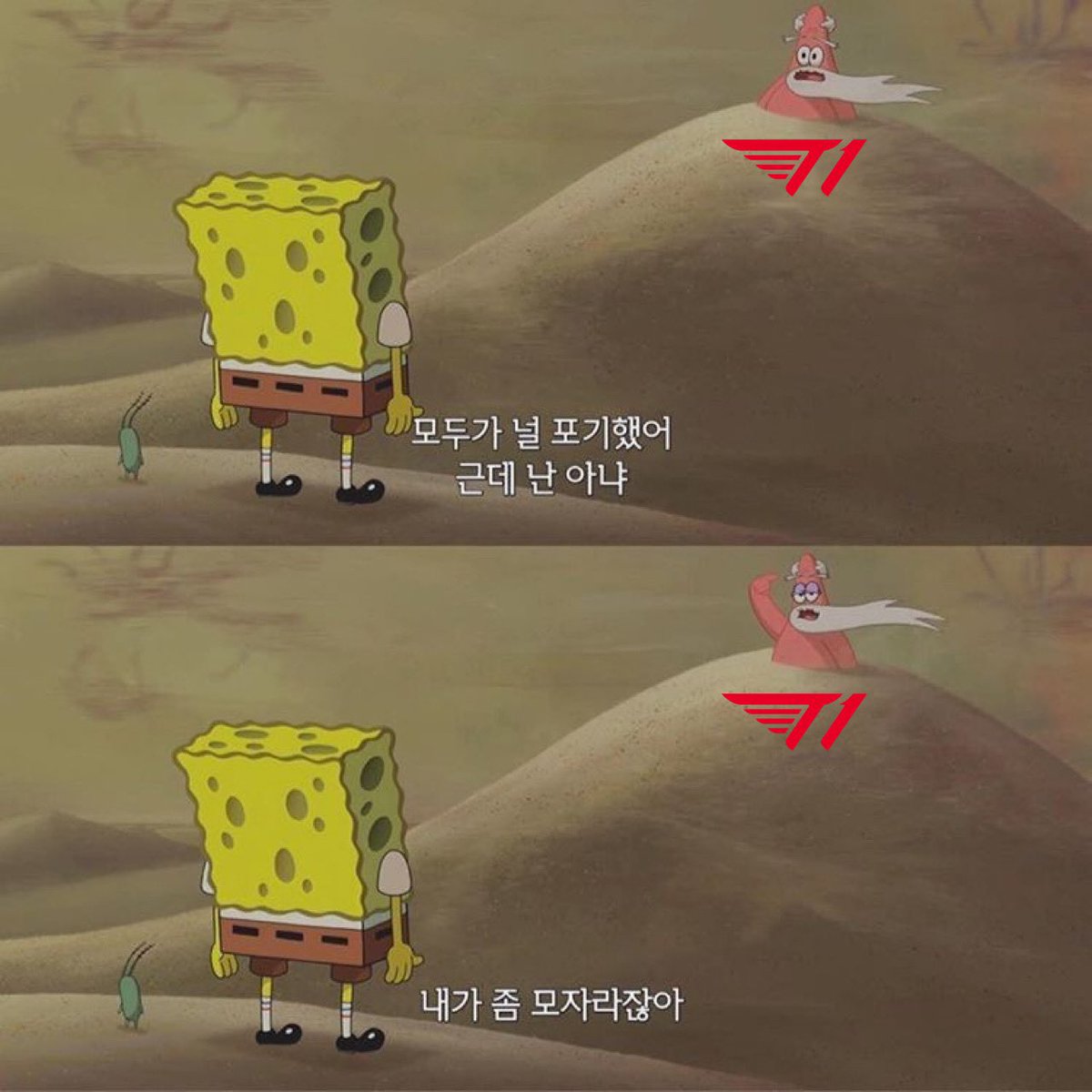 도지 tweet media