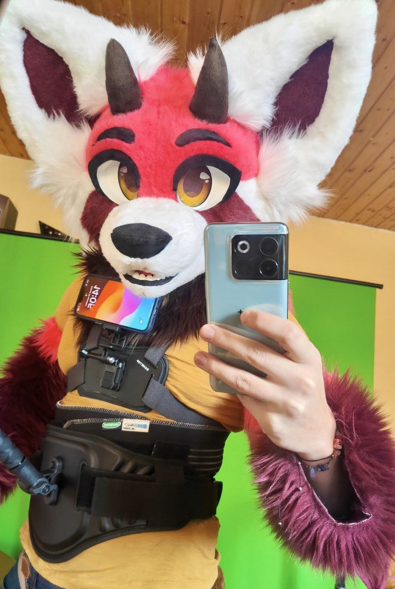 ThatFrenchPanda tweet picture