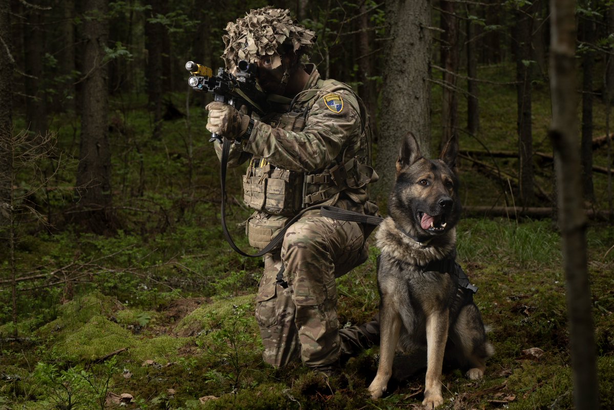 Ministry of Defence 🇬🇧 tweet media