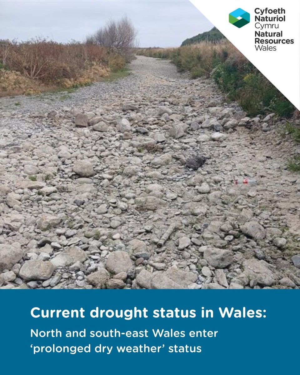Cyfoeth Naturiol Cymru | Natural Resources Wales tweet media