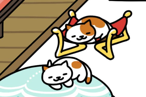 kapi_kapi_kaya's tweet photo. 似てるようで違う2匹。

(手前のとびがらさんはおてんば。奥のぶちさんはヤキモチ妬き。)
#ねこあつめ #ねこあつめ2 https://t.co/cMT4M07hkv
