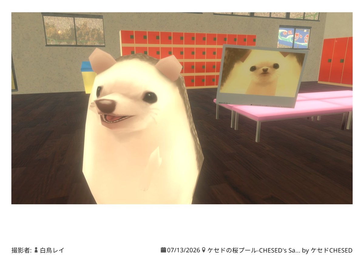 mol10c's tweet photo. 今週のぶいちゃまとめ
なんか喉（体調）の調子悪かったり回線の調子悪かったりで終わり過ぎてあんまり出来なかったのが悔しいけどみんなと遊べて楽しいからよし👍 https://t.co/ap2nTAMS5J
