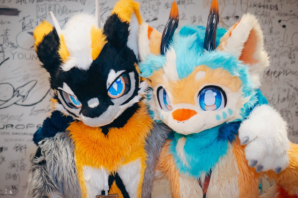 yakumowolf_2112's tweet photo. 和锋烬哥哥天下第一好❤️
🐉:@Dragon_Feather 
📷:@pio1840708 
#fursuitfriday #starfire #hifurry https://t.co/btMxBwNsQA