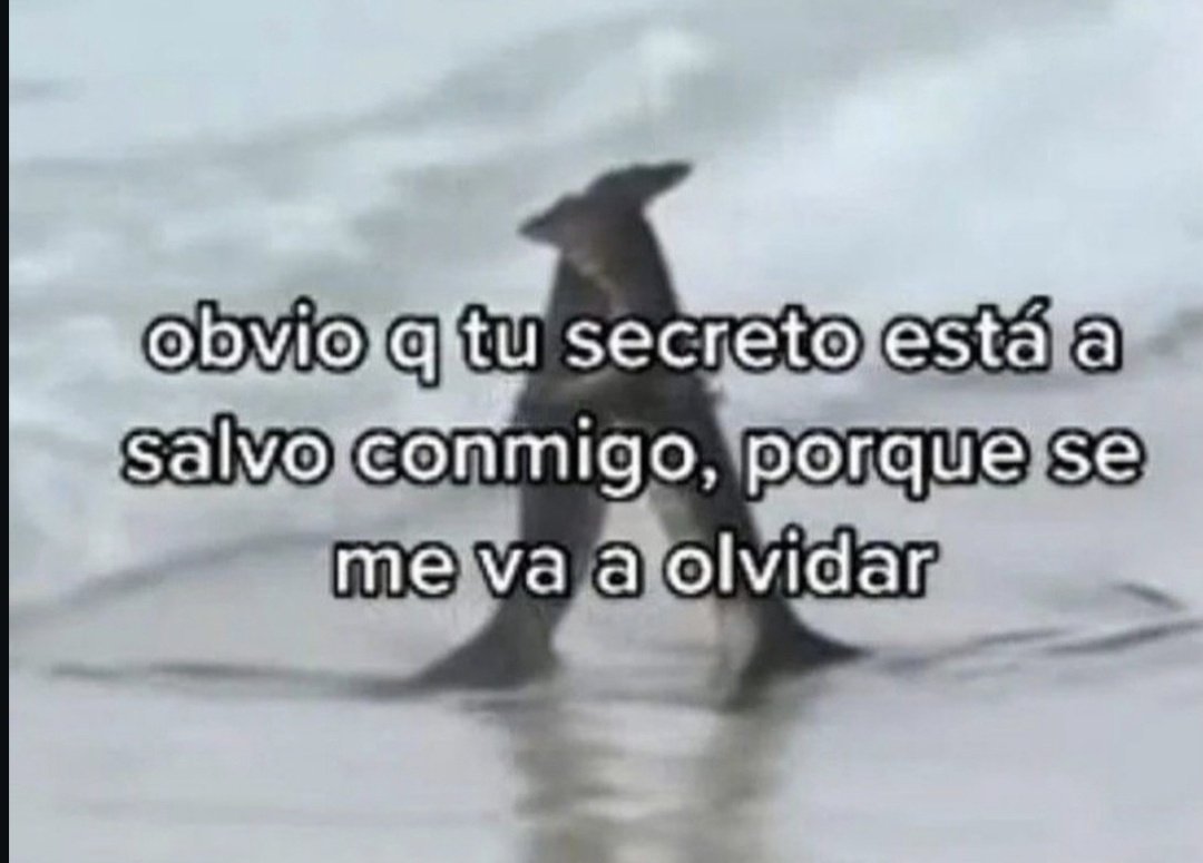 jorgeeeeee_____'s tweet photo. Obvio https://t.co/rFGk0z9Fme