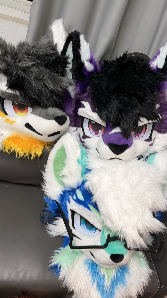 GinwineGin's tweet photo. γπ
π¨π« π¬ππ₯πγ
Three misty valley wolves looking for a home β¨
π Quiet & soft
π Calm & soothing
π₯ Loyal & warm
Each one unique, waiting to be loved.
#TripleGin #fursuit #furry https://t.co/jKIzhZ56zo