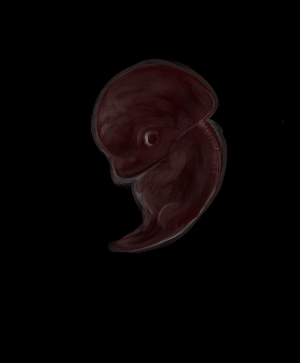 Vuongsaurus's tweet photo. Evil fucking baby https://t.co/JSur412oBD