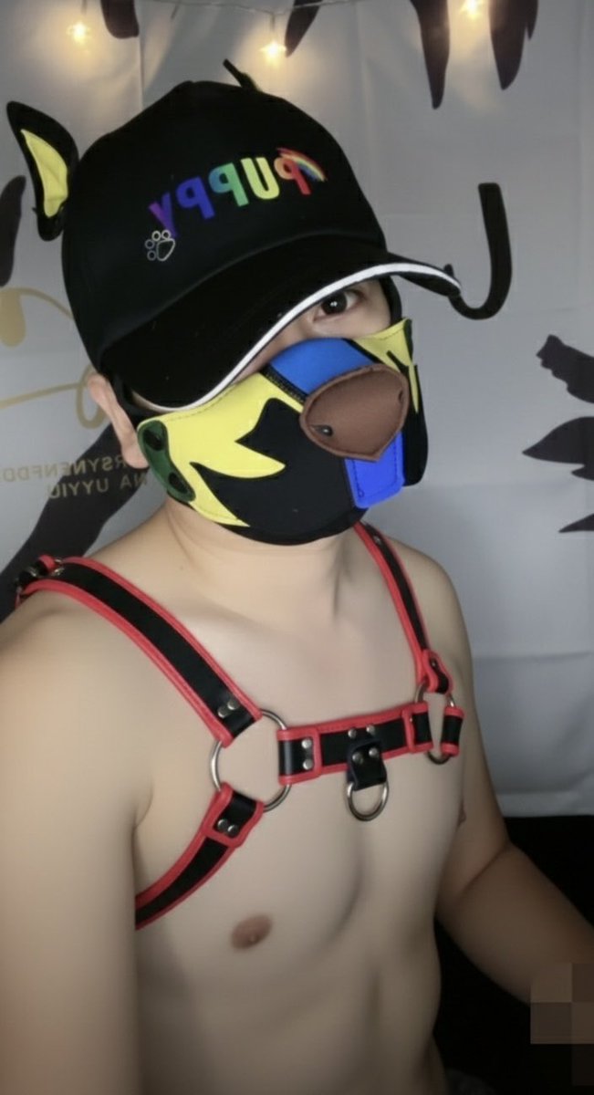 Nick91739309's tweet photo. 最近好想收養大狗狗
或是 被大狗狗收養

可以嗎？ https://t.co/3YS4aemvdZ