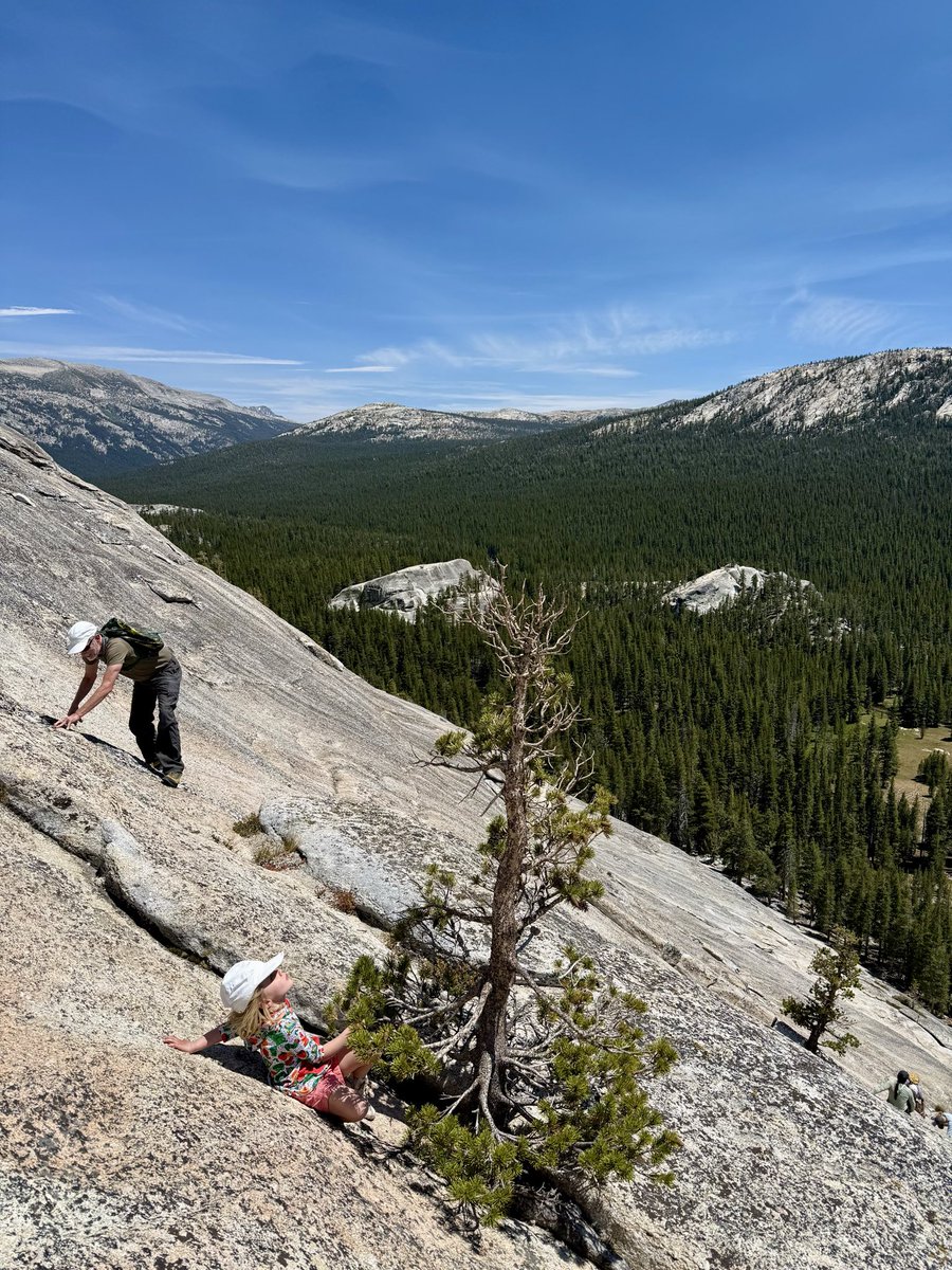 AlexHonnold's tweet photo. We got to take the kids to Tuolumne for the first time for a family camping trip - so wholesome! Our 2.5 year old got to putter up her first dome (Pothole - very easy) and our 4.5 year old got to scramble up Lembert Dome (decidedly harder). We had a bunch of family there so each adventure made for a great group outing. Some of the pics are from my brother in law James. 

The trip got me really psyched for the next few years as the kids get older. They’re getting so much more capable.