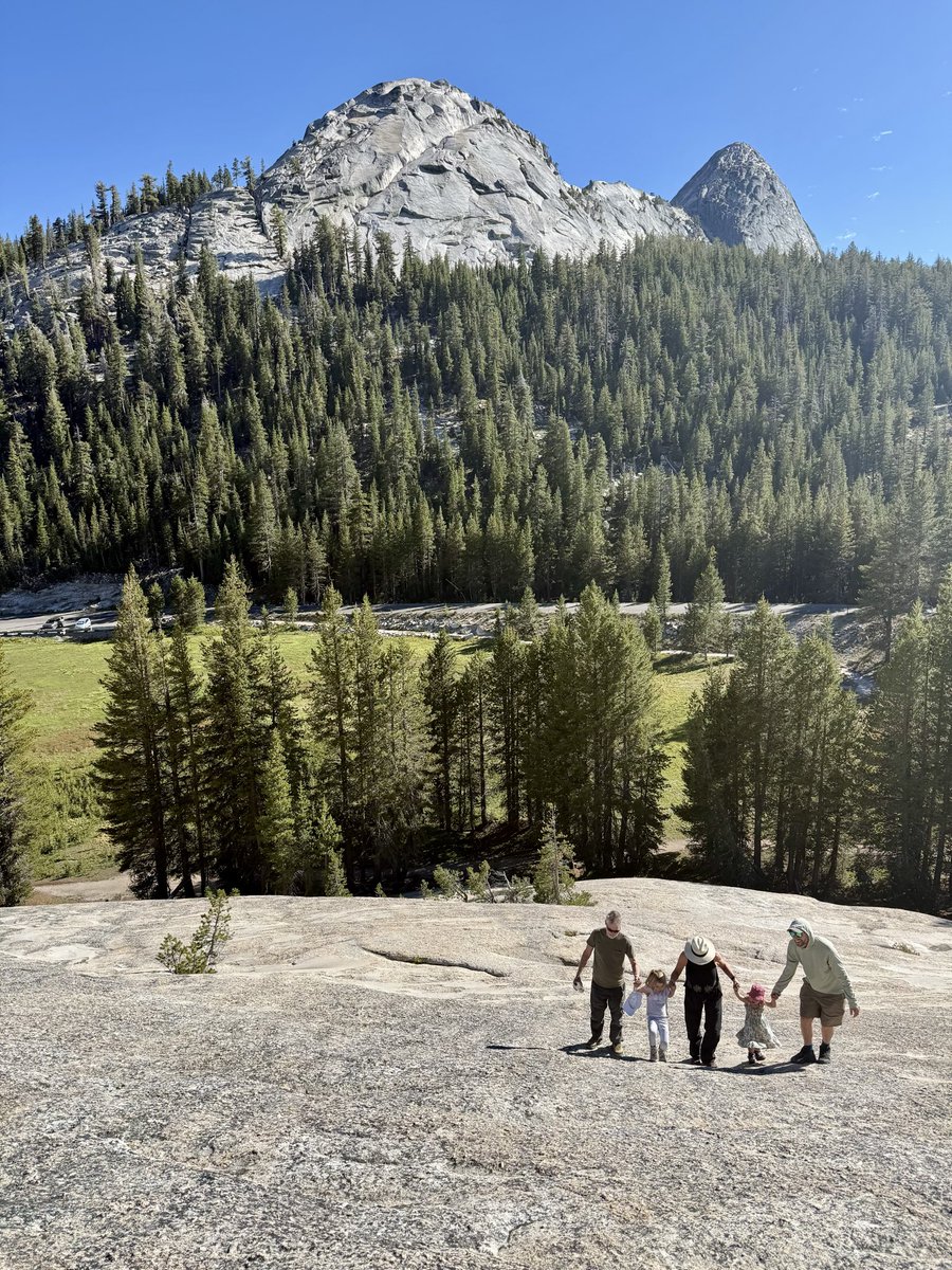 AlexHonnold's tweet photo. We got to take the kids to Tuolumne for the first time for a family camping trip - so wholesome! Our 2.5 year old got to putter up her first dome (Pothole - very easy) and our 4.5 year old got to scramble up Lembert Dome (decidedly harder). We had a bunch of family there so each adventure made for a great group outing. Some of the pics are from my brother in law James. 

The trip got me really psyched for the next few years as the kids get older. They’re getting so much more capable.