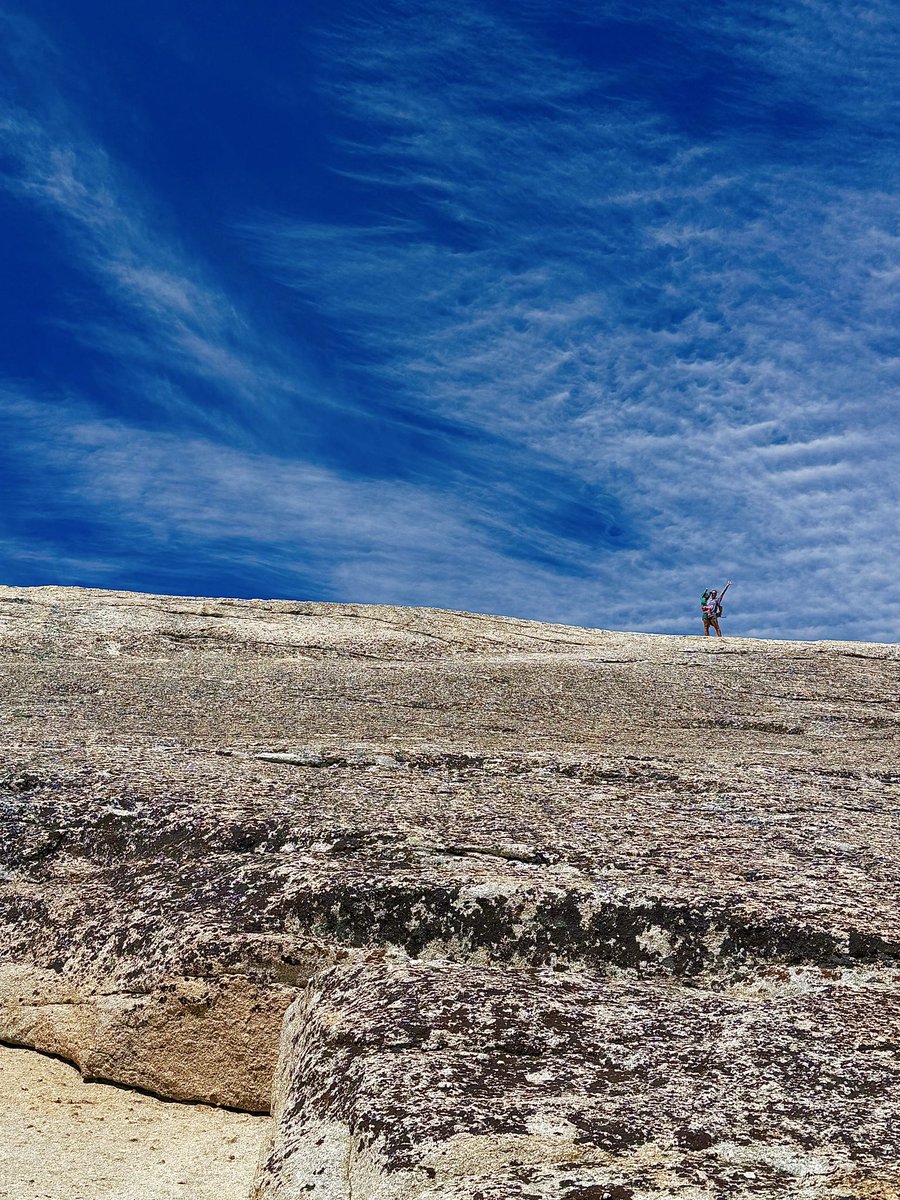 AlexHonnold's tweet photo. We got to take the kids to Tuolumne for the first time for a family camping trip - so wholesome! Our 2.5 year old got to putter up her first dome (Pothole - very easy) and our 4.5 year old got to scramble up Lembert Dome (decidedly harder). We had a bunch of family there so each adventure made for a great group outing. Some of the pics are from my brother in law James. 

The trip got me really psyched for the next few years as the kids get older. They’re getting so much more capable.
