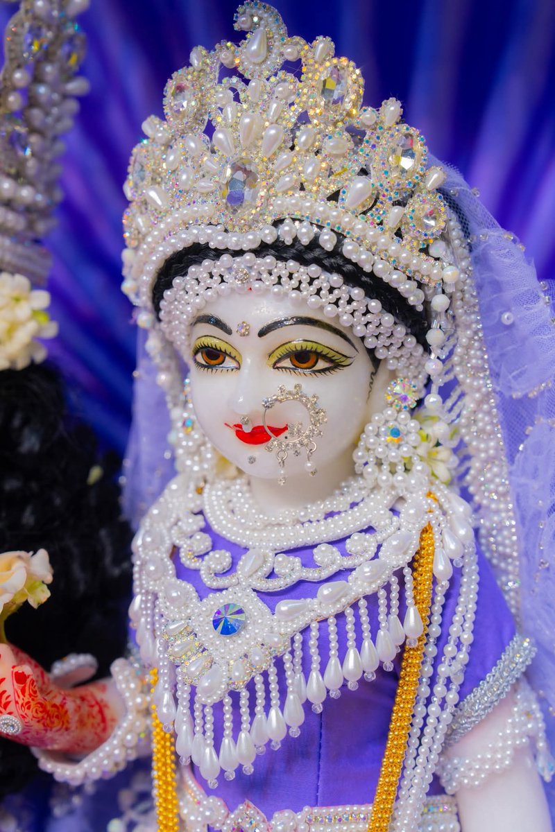 RadhaMarg's tweet photo. श्री लाड़ली जू महाराज 🌼 https://t.co/vxufAZ1CNZ