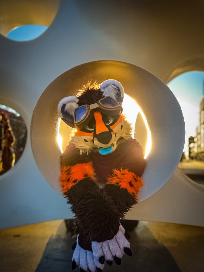 Archie 🦊 tweet media