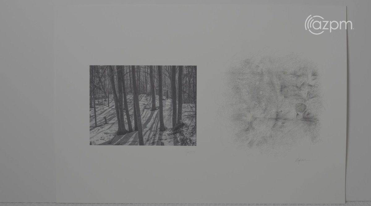 azIllustrated's tweet photo. Joe Labate and Laura LaFave are both artists. 

Joe is a photographer and Laura’s works with abstract drawings and paintings.

The two move side by side, sharing a landscape of imagination and innovation. 

See the full episode this week or anytime on our YouTube channel ￼￼📺 https://t.co/V3OimenmaS