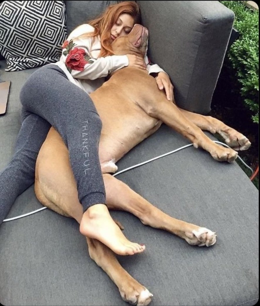 silesto911's tweet photo. My dogs don’t just follow me  they complete me 🐾💕 Ready for more adventures? Let’s have fun together. Stay connected!
#dog 
#USA 2026
https://t.co/MQJep15Ow7 https://t.co/epUFNM7VXy