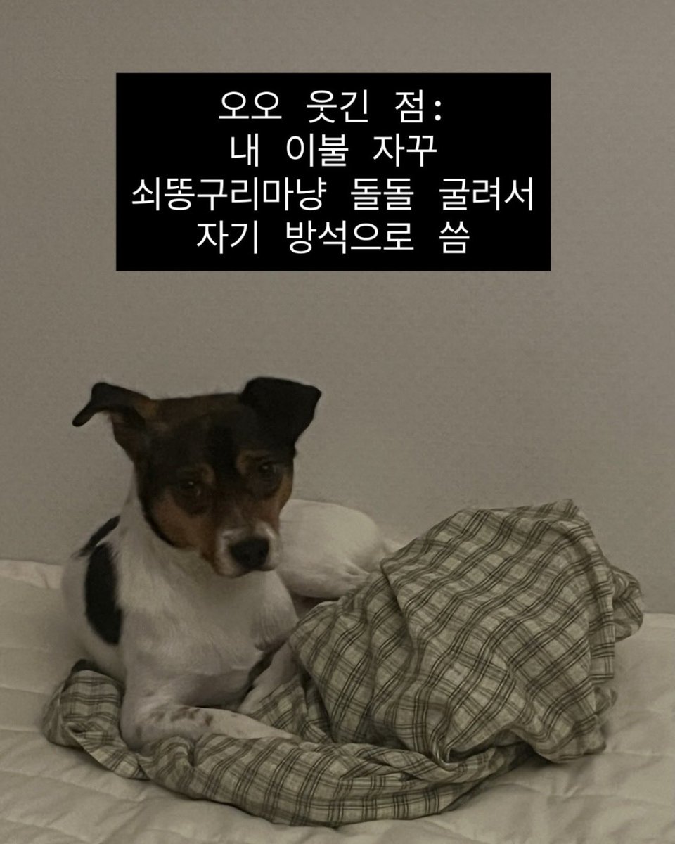 Daeng_issue tweet picture