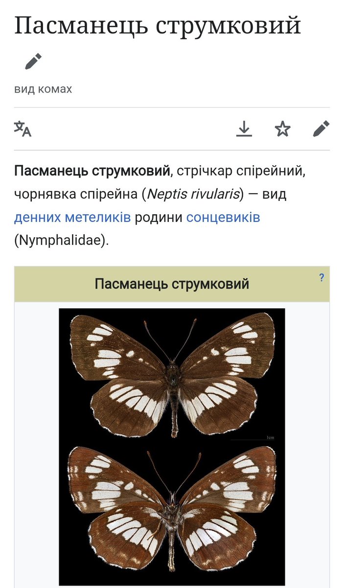 SuprunAnnaS's tweet photo. Сидів як раз на спіреї😁 https://t.co/Dyf3Ozw9mC