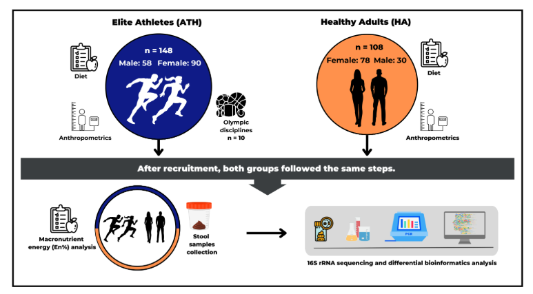 ASMicrobiology's tweet photo. Compared to healthy adults, the gut microbiomes of elite athletes are enriched in pathways related to amino acid biosynthesis, glycolysis, fatty acid β-oxidation and quinone synthesis, which may be relevant for metabolic efficiency. #mSystems: https://t.co/kVqOOcERxL https://t.co/eS4dNlHDcJ