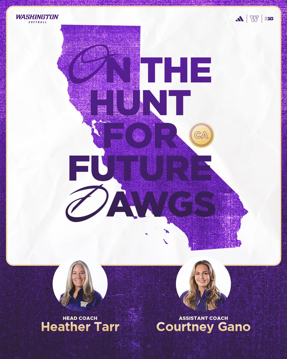 Washington Softball tweet media