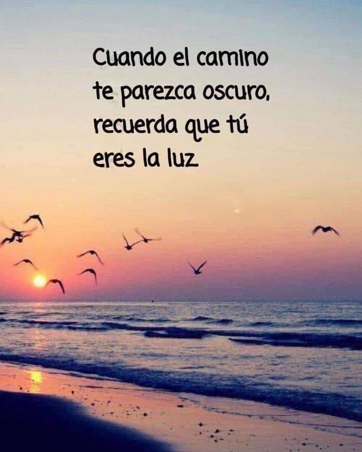 KarlaMawcinitt's tweet photo. ¡#CreeEnTi y todo será posible!
.
.
.
.
#FelizJueves #Motivación #Felicidad #Éxito #FraseMotivacional https://t.co/gtyer4HyC7