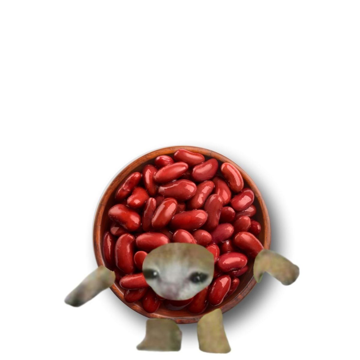 catdotsol's tweet photo. doxxed @BeanzzSOL https://t.co/c4VnqeF4nU