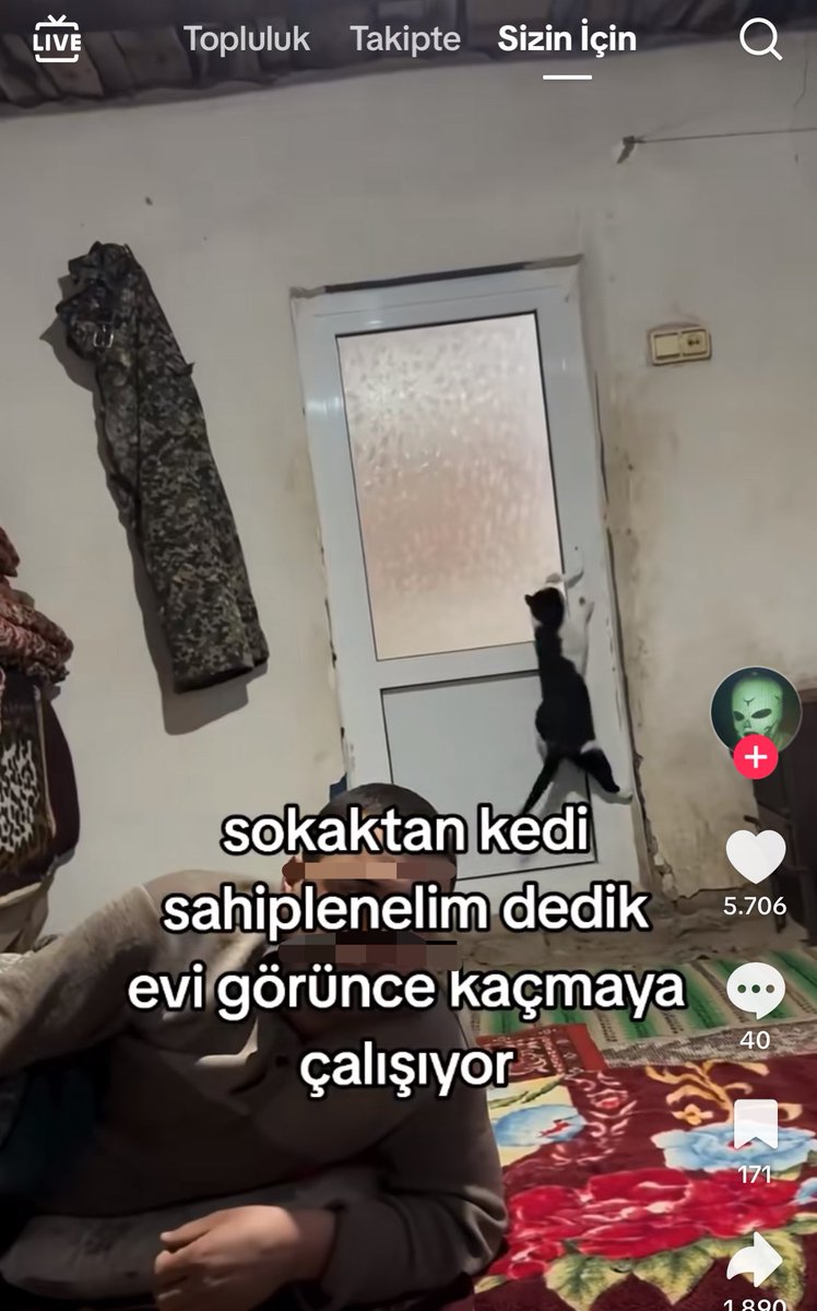 takodeart's tweet photo. Trabzon şehir merkezini beğenmeyen topçu karıları https://t.co/sgWirDzrXr