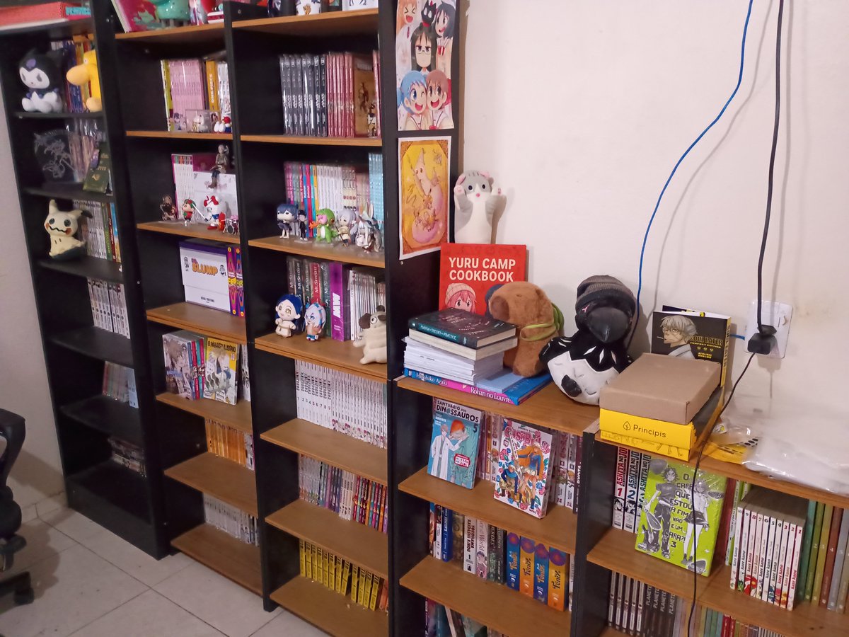 Lhamatorrinco's tweet photo. Ainda não tá 100% e tem mais uma estante pra chegar, mas eu gostei muito de como tá minha coleção. https://t.co/lIRVVq8nH8