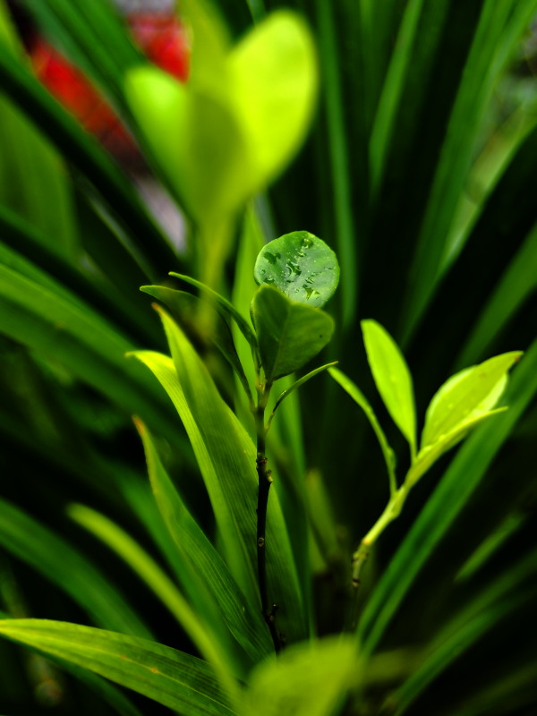 ImagingPixel tweet picture