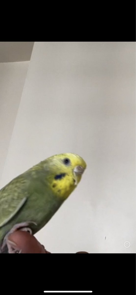 serayevcc's tweet photo. Benim güzel kızım bitanem seni çok ama çok seviyorum bir gün telefonuma bir şey olursa diye buraya atıyorum iyi ki vardın ben çok yaşlandığımda seninle cennette yine karşılaşacağız bana yaşattığın seneler için teşekkür ederim seni çok ama çok seviyorum https://t.co/kPNP89Fk3H
