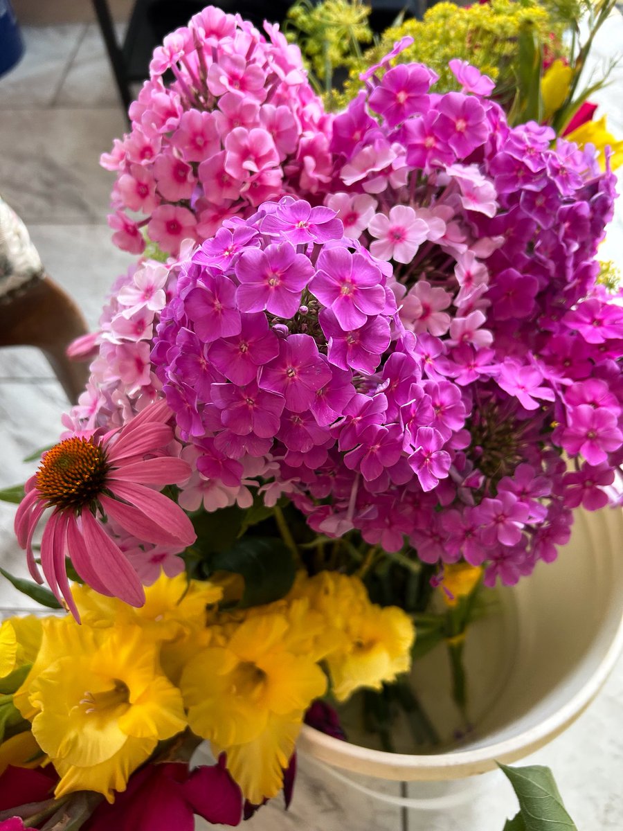 MHJGardenDesign's tweet photo. Looking forward to creating beautiful #floraldesigns with freshly picked #flowers from the garden. 💐🌸🌼🌻

#beebalm #sunflowers #gladiolus https://t.co/7Hz7TzEd3q