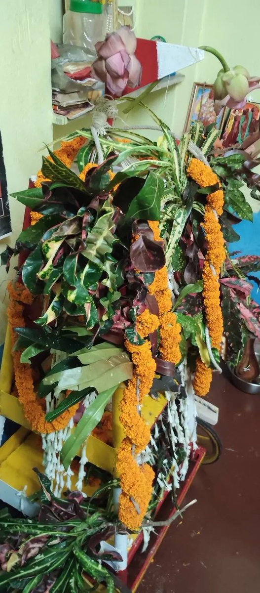 S93545778's tweet photo. Jaggu in Our Home, Jay Jagannath 🙏🙏🙏 @rishibagree @prachyam7 @AKTKbasics @JaipurDialogues https://t.co/KNX4GF6BVC