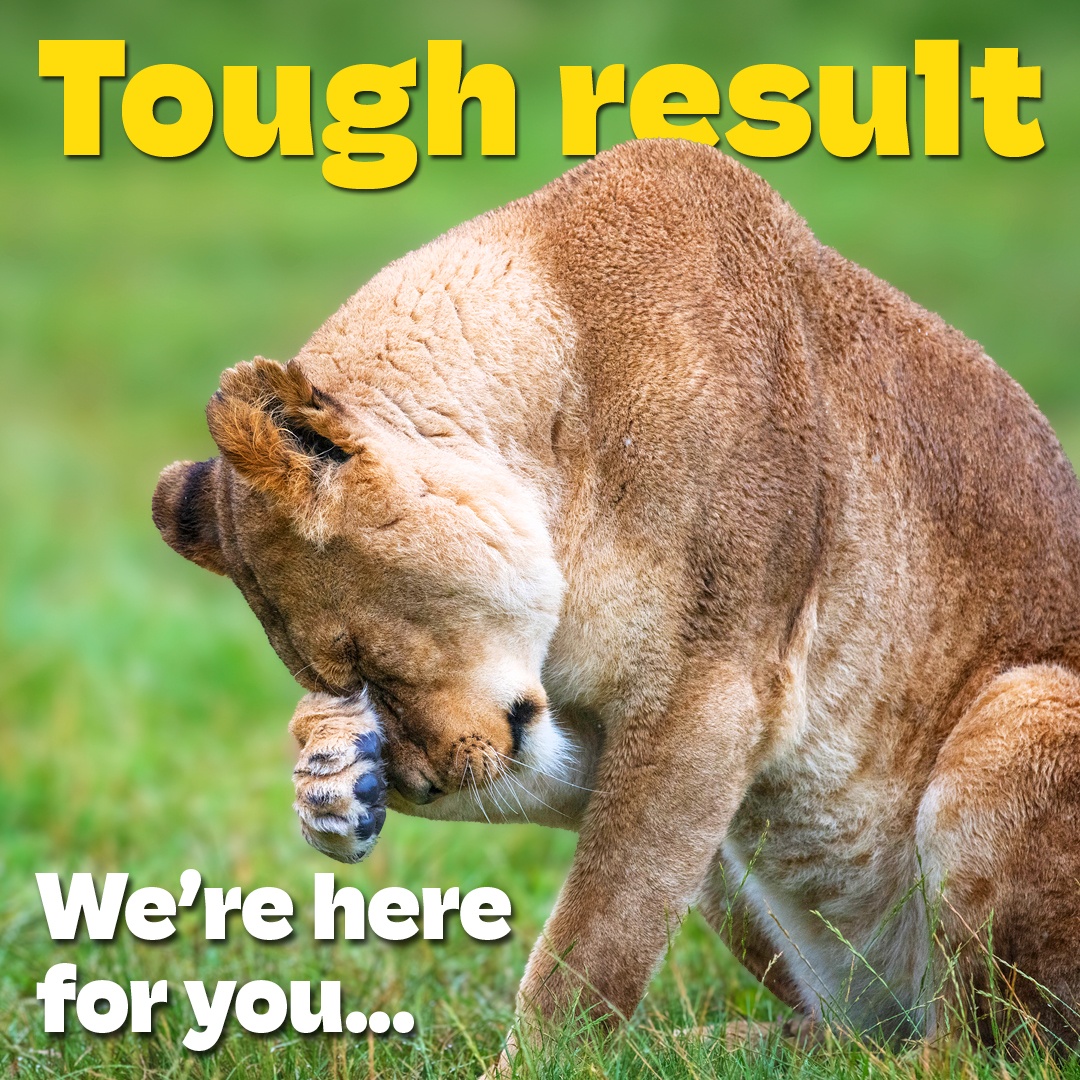Longleat tweet media