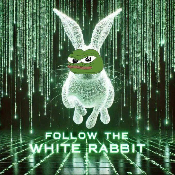 FrentasticFour's tweet photo. Follow ze white Rabbit Neo.. 😆
#Frentastic #Matrix https://t.co/LaoSs4ZaDT
