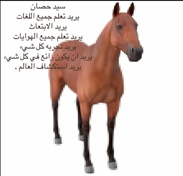 __Alshymaa__'s tweet photo. أنا سيد حصان بعد م خدت الاجازة https://t.co/4o1okO4WSa