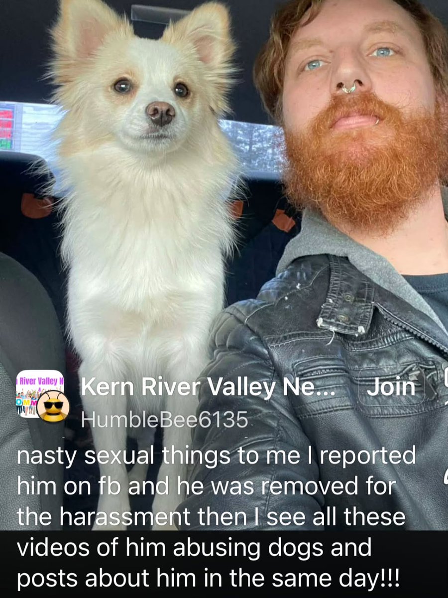itsadogslifersq's tweet photo. Serial animal abuser from Bakersfield, Kern County. Apparently choked and killed this husky. 
All info in screenshots. This guy apparently has a history of "adopting" to torture &amp; kill dogs. Kern County manager knows but doesn't care.

Bellavitarescue is looking for a lawfirm. https://t.co/S7eJnTPfCd