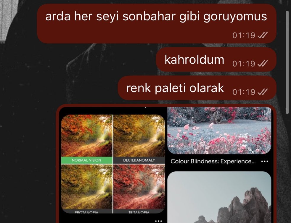 demainels's tweet photo. dertsiz basima dert aradigim icin bu tiktoku gorur gormez ben https://t.co/MENm6iQraC