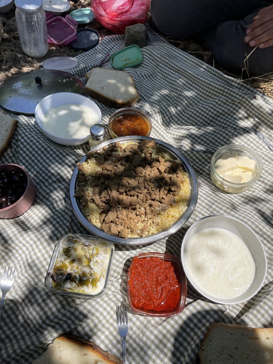 i_ihtimal's tweet photo. Portakallı ördek istedik bulgur üstü kavurma geldi tarla sahibinden şikayetçiyiz https://t.co/EK1t1t7nql