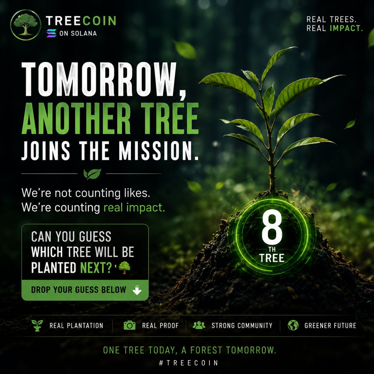 TreecoinOfc's tweet photo. 🌱 Tomorrow, another tree joins the mission.

We're not counting likes.
We're counting real impact.

Can you guess which tree will be planted next? 👀🌳

Drop your guess below ⬇️

Follow us on X and join our Telegram to be part of the journey. 🚀🌿

#TREECOIN #Solana #PlantTrees https://t.co/g0yHBk49nU