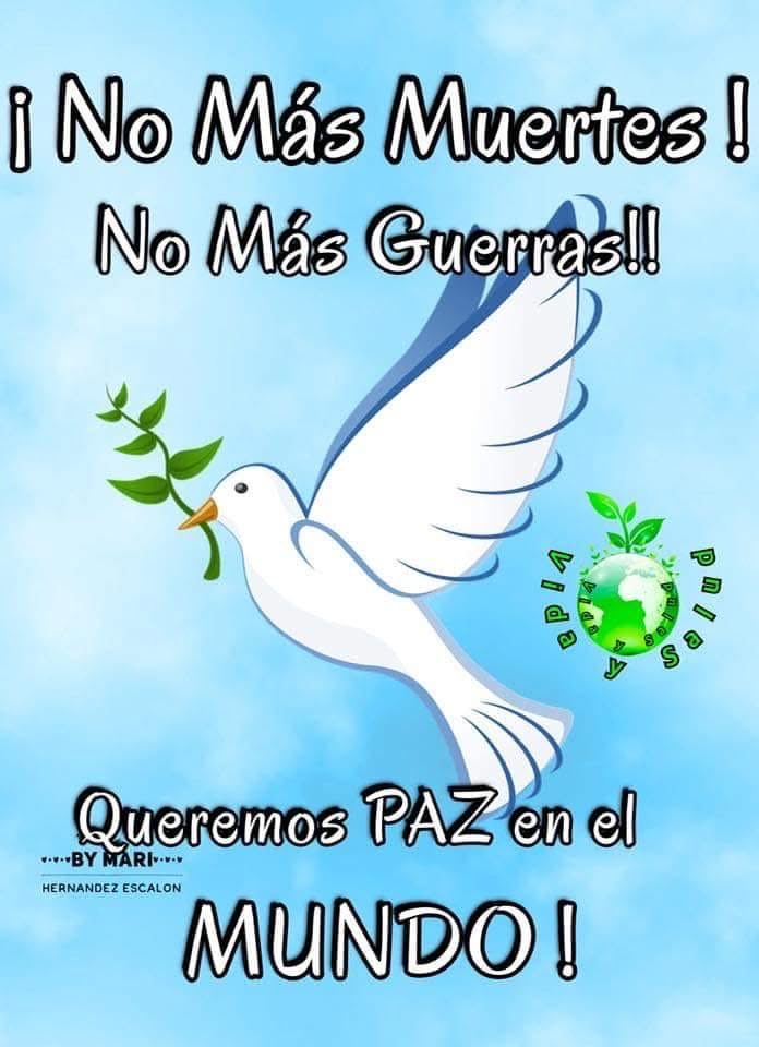 LunaGladiola's tweet photo. https://t.co/qNL9vgoa5e