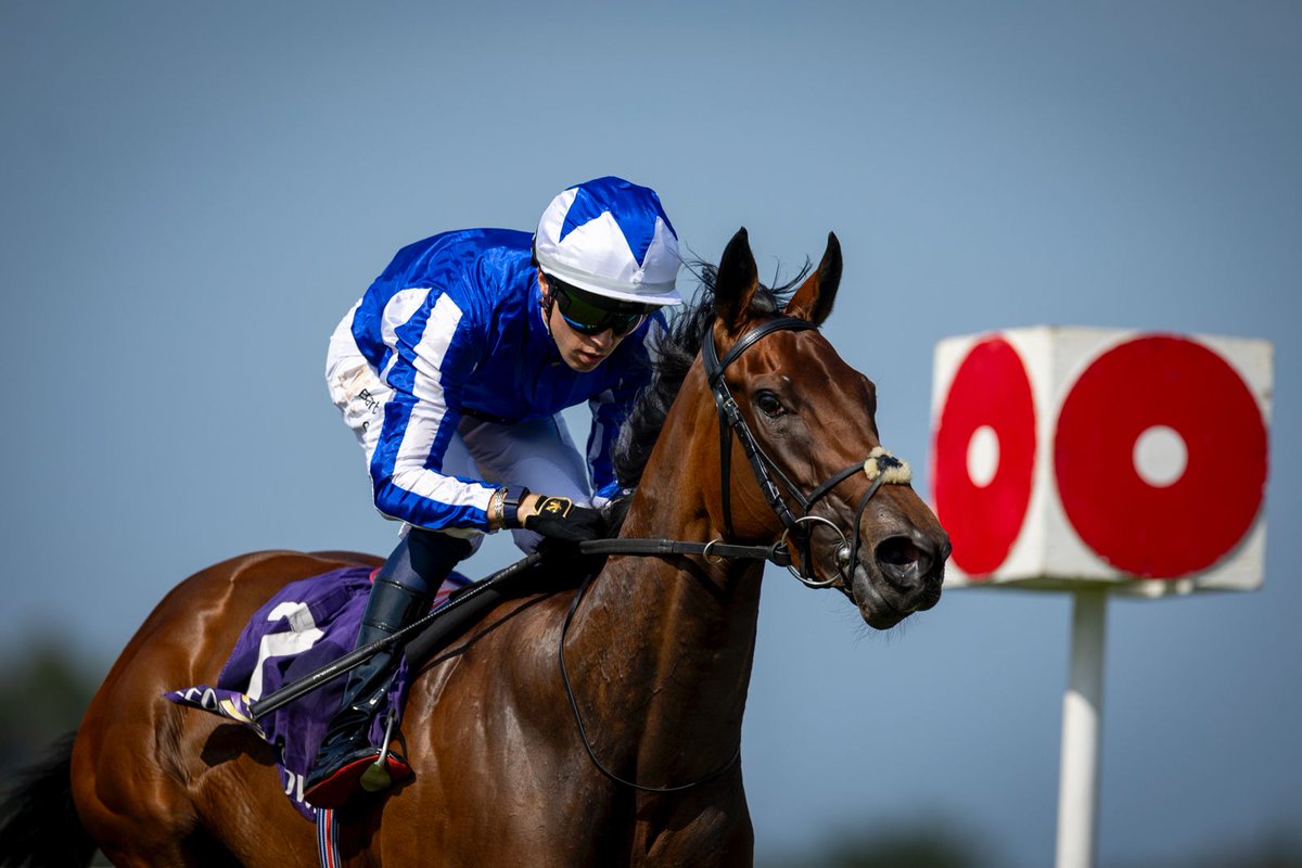 Leopardstown RC tweet media