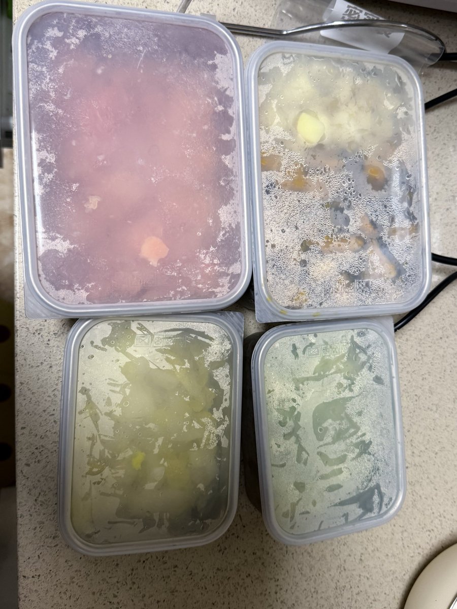 tastecheeeese's tweet photo. 总算备完一周的狗饭…左上角蛋白质（还有豆腐在冰箱里）右上碳水 下面两个维生素 https://t.co/sxmgLpLt2S
