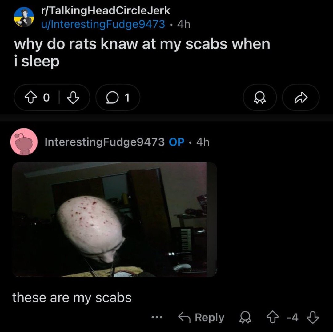 skord the assassin tweet media