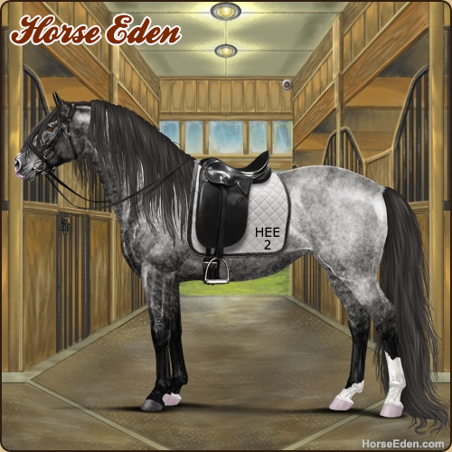 HorseEdenGame's tweet photo. Today's featured Game Horse! Breed your dream horse! Play for free today!
#horse #horses #horsegame #horseeden #animals #simgame #petsim #petgame #animalgame #horseart #gameart #horseshow #irishsporthorse #blueroan #stable #dressage #showjumping #eventing #art #game https://t.co/6TC8n1HwKA